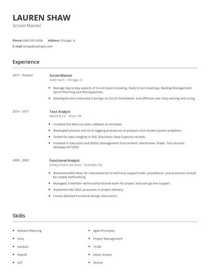 Scrum Master Resume