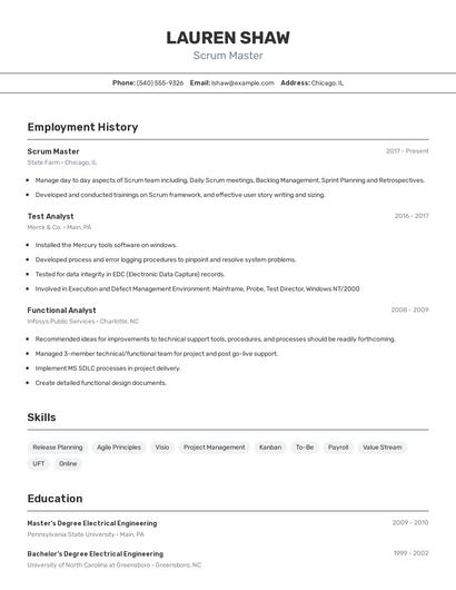 Scrum Master Resume