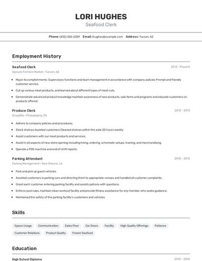 Resume example 2