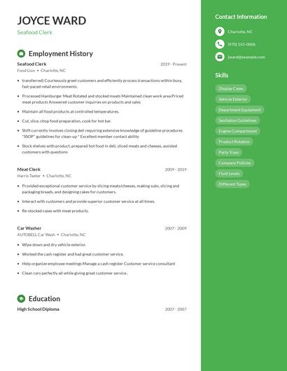 Resume example 4