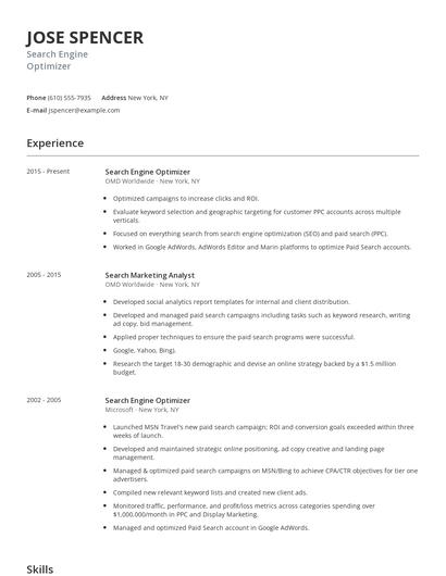 Search Engine Optimizer Resume
