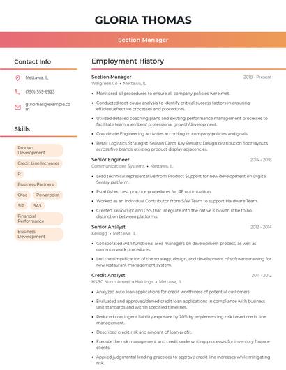 Resume example 3