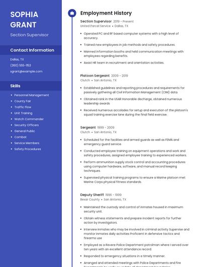 Resume example 4