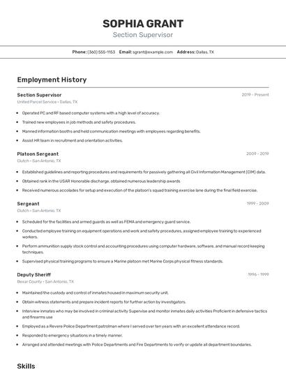 Resume example 2