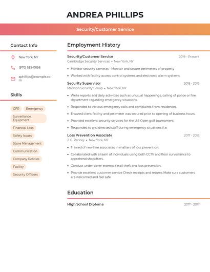 Resume example 3
