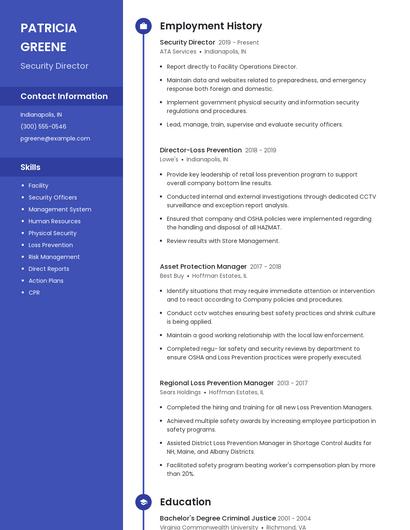 Resume example 4