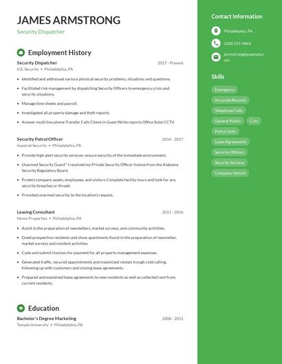 Resume example 4