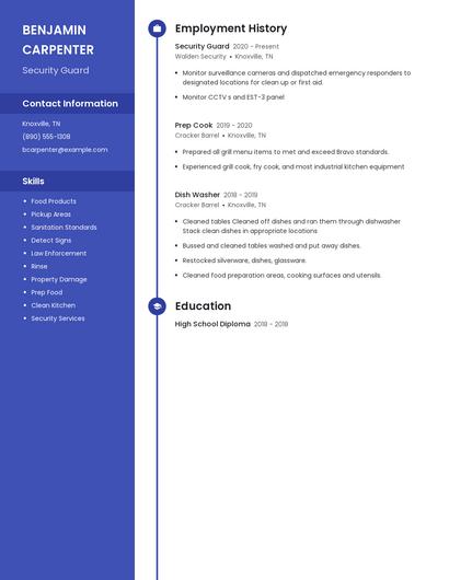 Resume example 4
