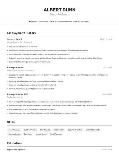 Resume example 2