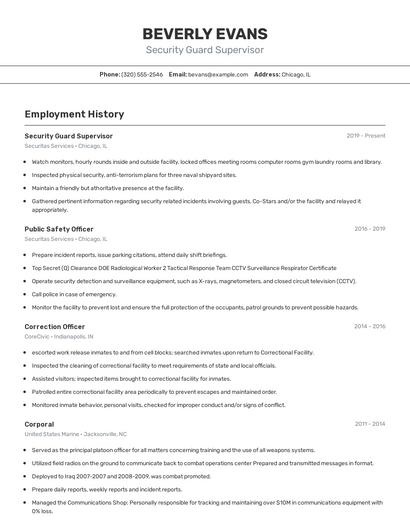 Resume example 2