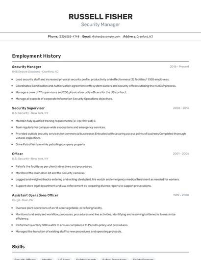 Resume example 2