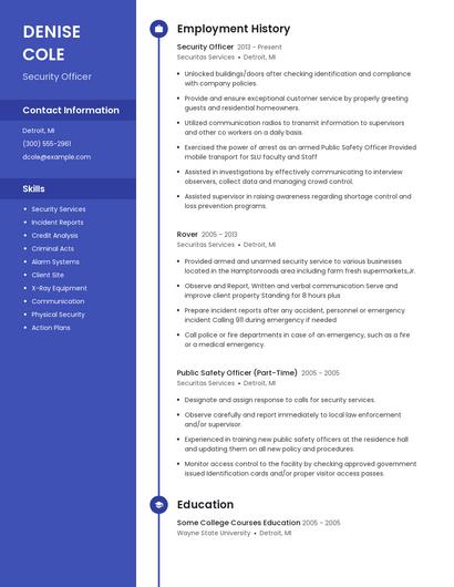 Resume example 4
