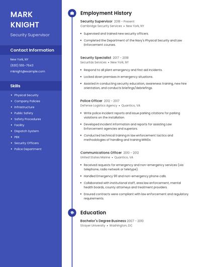Resume example 4