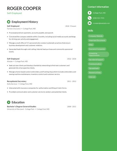 Resume example 4