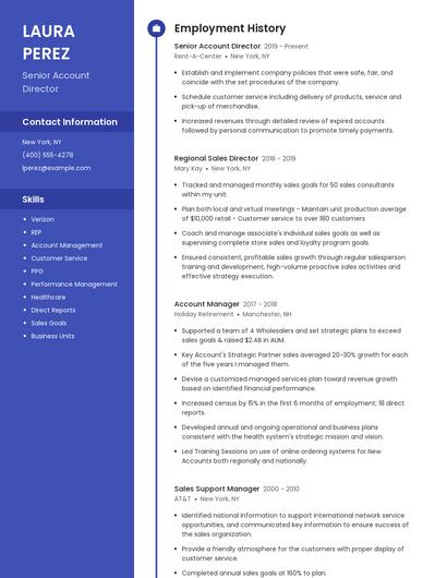 Senior Account Director Resume