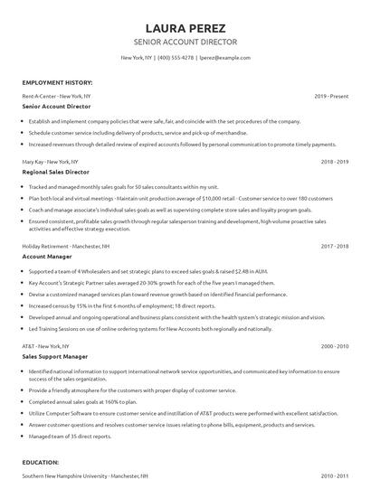 Senior Account Director Resume