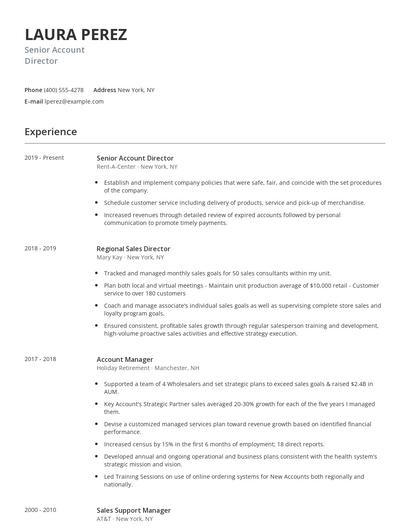 Senior Account Director Resume
