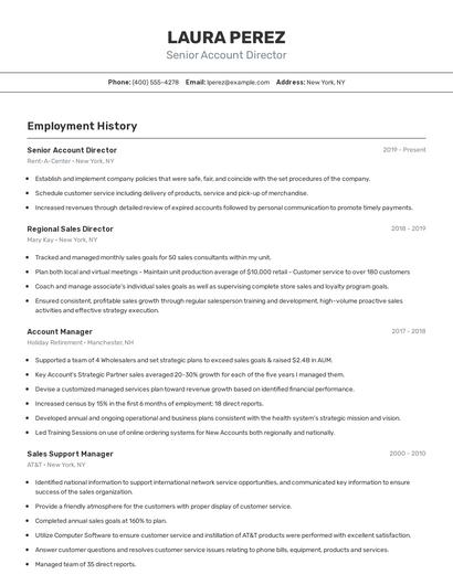 Senior Account Director Resume