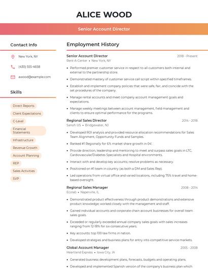 Senior Account Director Resume