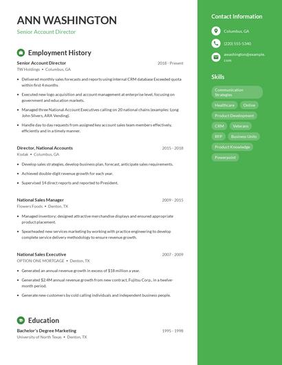 Senior Account Director Resume