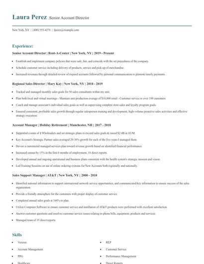 Senior Account Director Resume