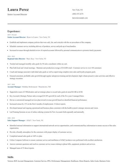 Senior Account Director Resume
