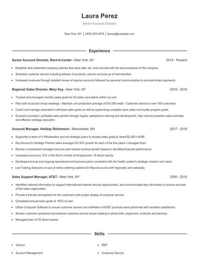 Senior Account Director Resume