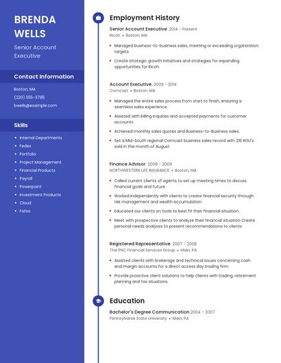 Resume example 5