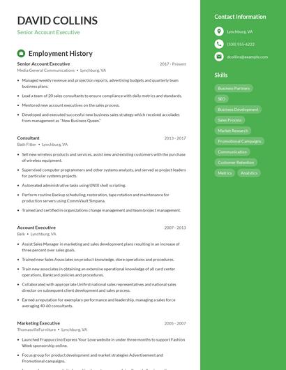 Resume example 4