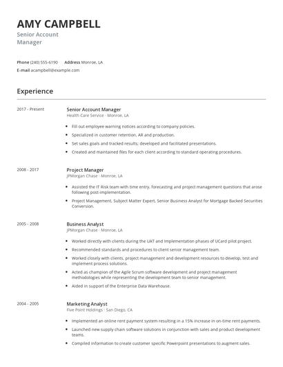 Senior Account Manager Resume