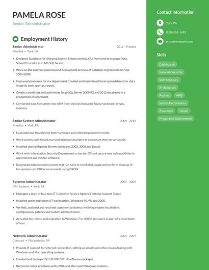 Resume example 4