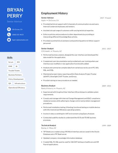 Senior Advisor Resume