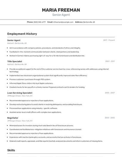 Senior Agent Resume