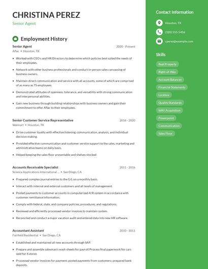 Resume example 4