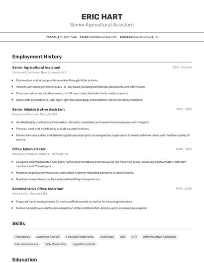 Resume example 2