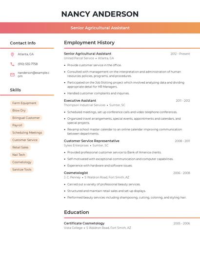 Resume example 3
