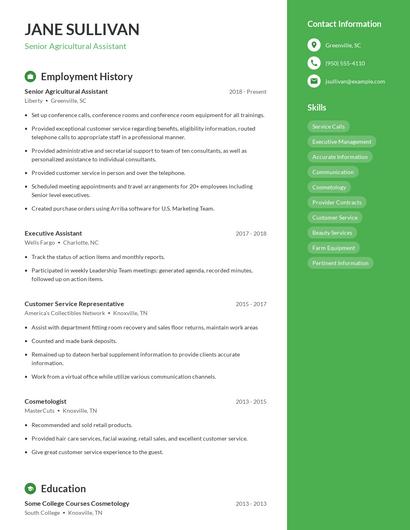 Resume example 5