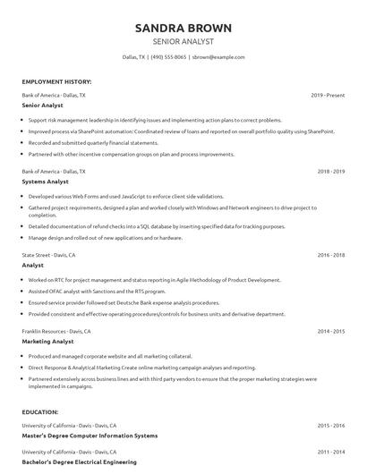 Senior Analyst Resume