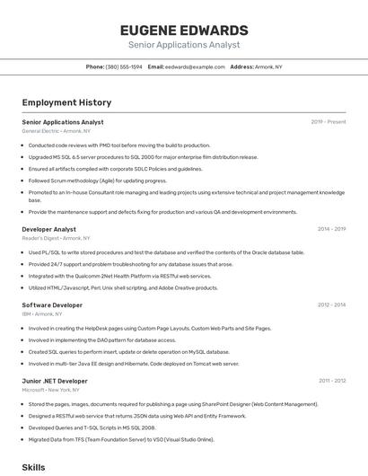 Resume example 2