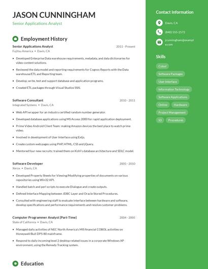 Resume example 5