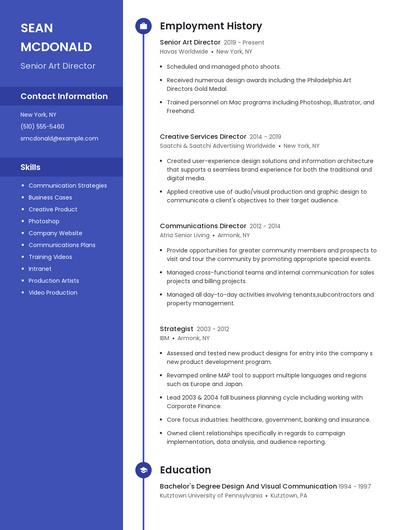 Resume example 5
