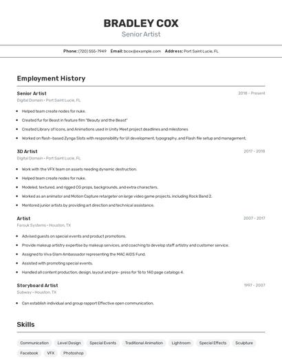 Senior Artist Resume