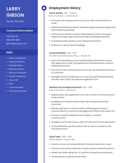 Senior Banker Resume