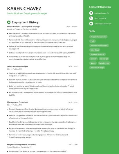 Resume example 4