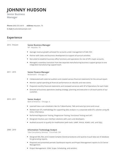 Senior Business Manager Resume