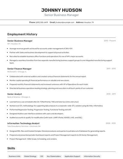 Senior Business Manager Resume
