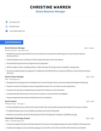 Senior Business Manager Resume