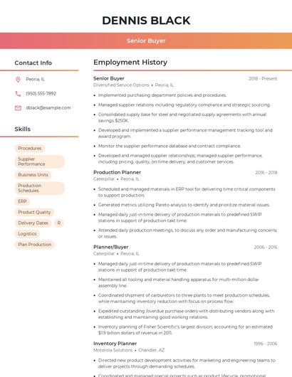 Resume example 3