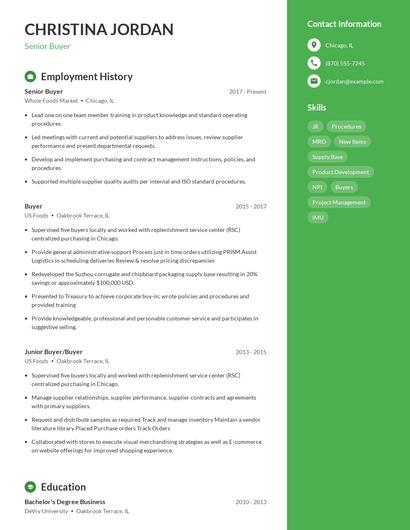 Resume example 5