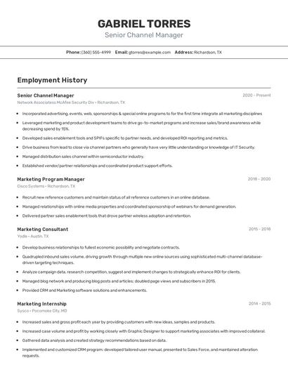 Senior Channel Manager Resume